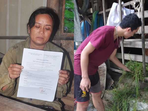 Hà Tĩnh: Quá nghèo, nam sinh trúng tuyển vào Học viện Ngân hàng phải từ bỏ ước mơ