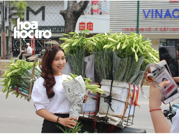 Giới trẻ Hà Nội cùng nhau lưu lại khoảnh khắc trong mùa hoa loa kèn trắng
