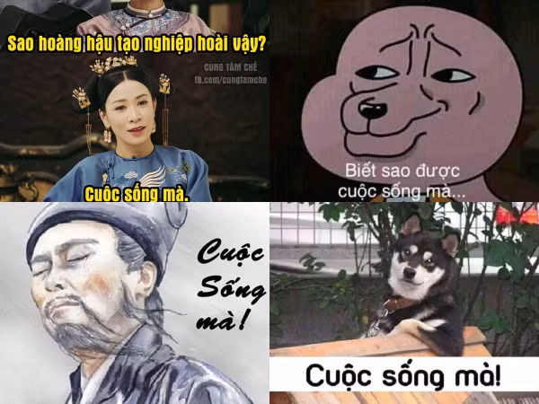 Hot-trend "Cuộc sống mà" vừa "lên sàn" đã khiến dân tình thi nhau chế ảnh