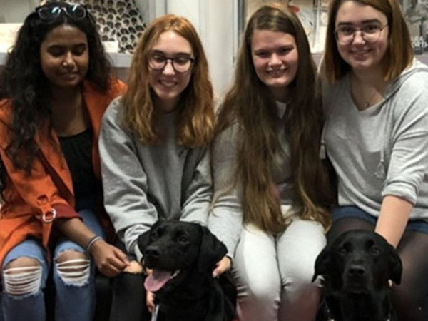 Thú vị chó làm "trợ giảng" tại đại học ở Anh