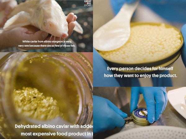 Hộp trứng cá muối giá cao hơn một chiếc Porsche 911 có gì lạ?