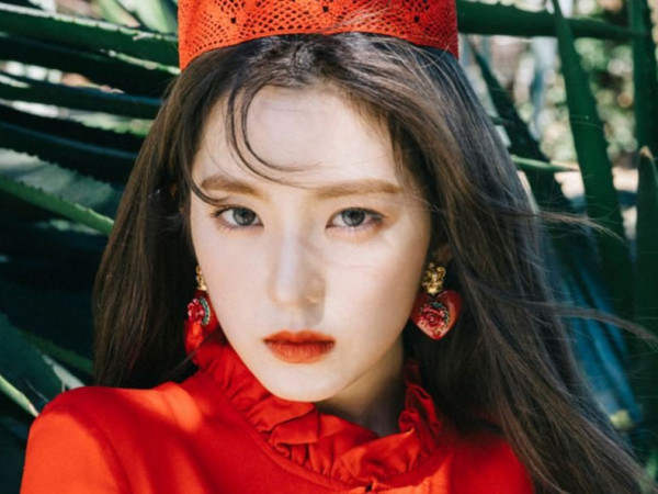 Chỉ vì một cuốn tiểu thuyết, fan nam "nổi đóa" đốt ảnh Irene (Red Velvet)