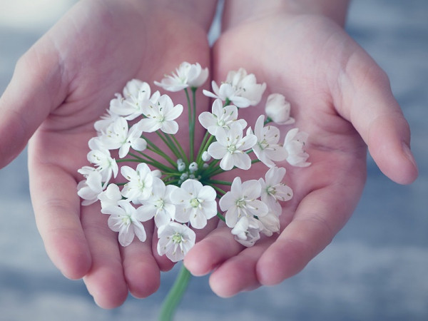 Xòe bàn tay, đếm ngón tay, ngắm thật kỹ xem ngón tay nói gì về bạn