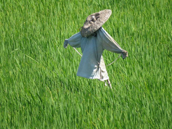 Bù nhìn rơm xuất hiện trong phim "Bắc Kim Thang" để đại diện cho yếu tố kinh dị Việt Nam