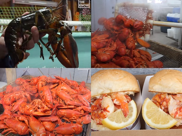 Có gì đặc biệt tại nhà hàng bán hơn 450 tạ tôm hùm mỗi ngày?