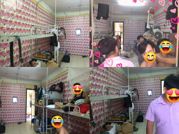 Lỡ yêu màu hồng, các chàng trai chạy khắp Thủ đô mua hình Kitty dán kín tường KTX