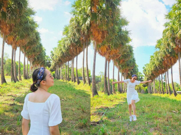 Giới trẻ rủ nhau "check-in" tại hàng cây thốt nốt đẹp như tranh vẽ ở An Giang