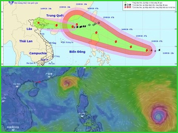 Bão MangKhut và các cặp đôi showbiz thu hút người Việt tìm kiếm tuần qua