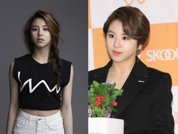 Bất ngờ: Việc Chaeyoung (TWICE) "xuống tóc" không hề nằm trong kế hoạch mới của JYP