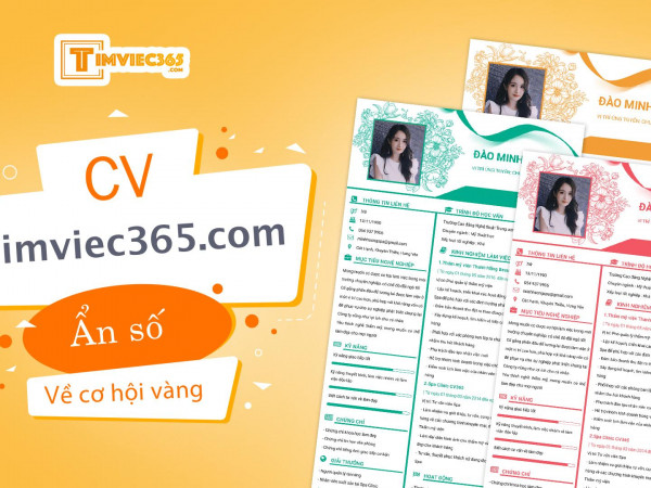 CV timviec365.com - Ẩn số cần được giải đáp về “cơ hội vàng”