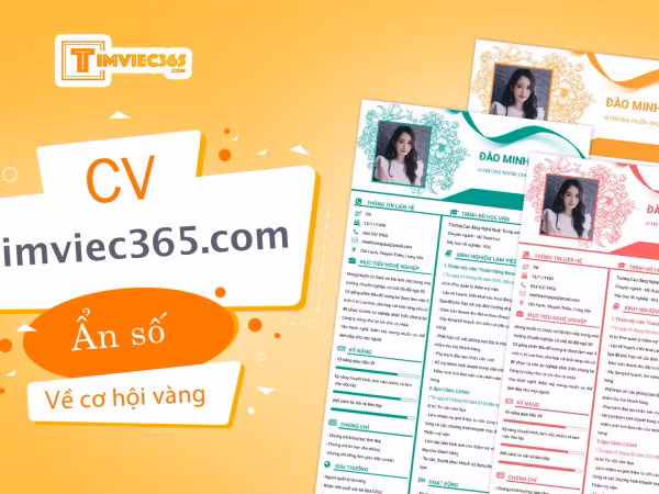 CV timviec365.com - Ẩn số cần được giải đáp về “cơ hội vàng”