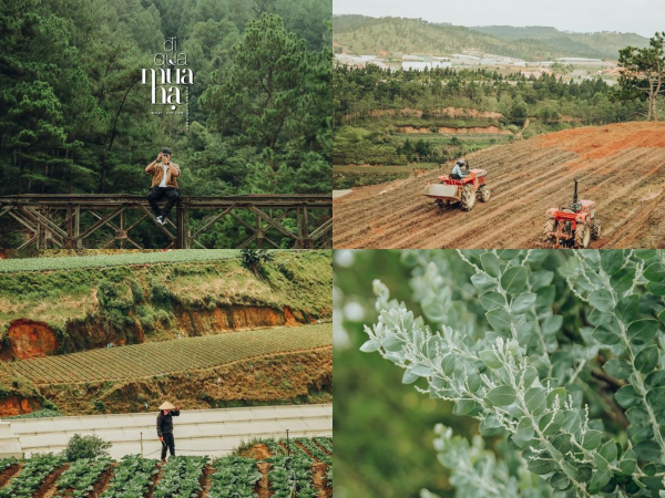 Có một Đà Lạt rất xanh, rất thơ qua ống kính của chàng kiến trúc sư Sài Gòn