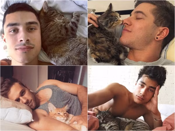 Bây giờ đẹp trai, nam tính, sáu múi chưa đủ, phải yêu mèo nữa mới đúng chuẩn "soái ca"
