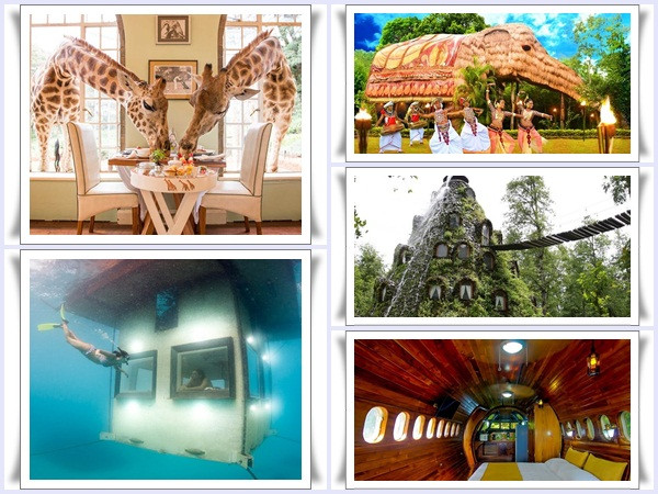 Nghỉ trong những khách sạn này, bạn sẽ muốn book phòng thêm đêm nữa