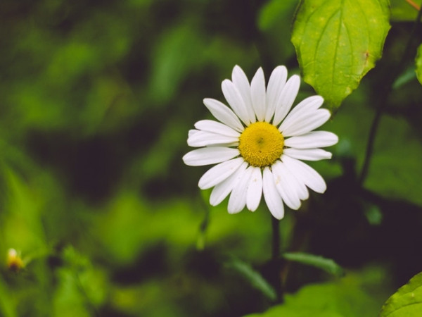 Horoscope tuần từ 15/10 - 21/10: Làm thế nào để tận hưởng tuần lễ êm đềm đúng cách nhất?