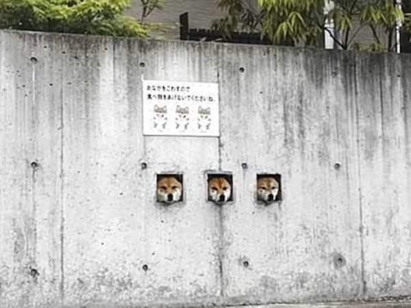 Ý tưởng đơn giản "làm mưa làm gió" trên MXH khiến khách du lịch ùn ùn kéo đến