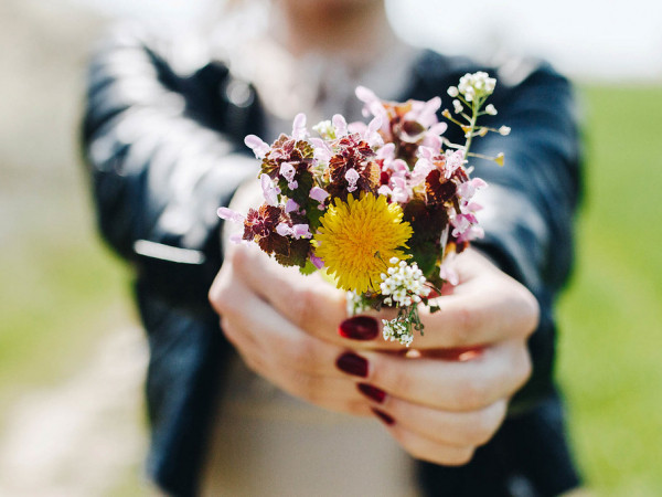 Sa mạc cũng có lúc được phủ đầy hoa, những điều tốt đẹp vẫn sẽ đến với bạn