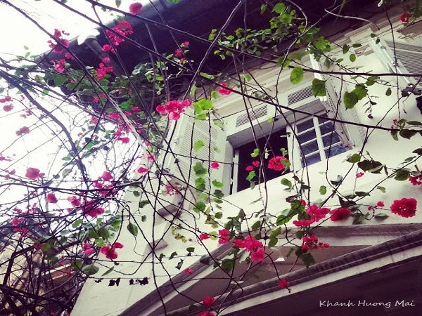 Nếu bạn muốn tìm một quán cà phê thật "hay ho" ở Hà Nội, thì đây...