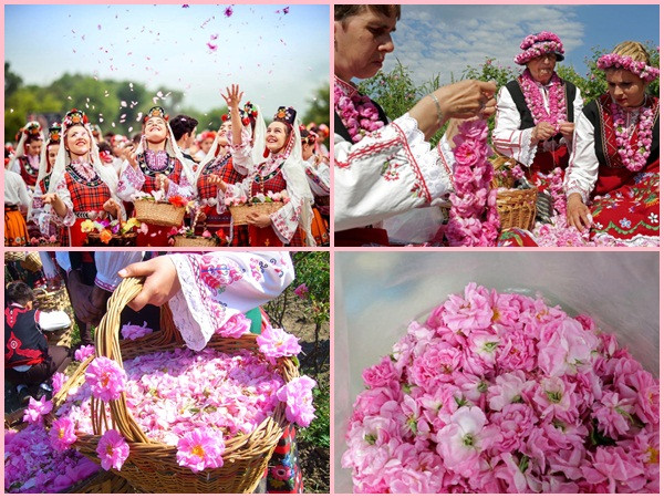 Bulgaria và thung lũng hoa hồng thơ mộng