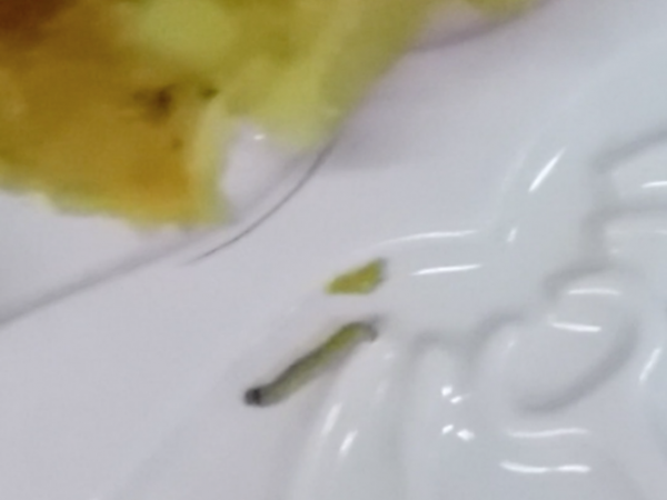 Con đăng clip bánh có dòi, mẹ phải bồi thường: "Mạng ảo, tù thật!"