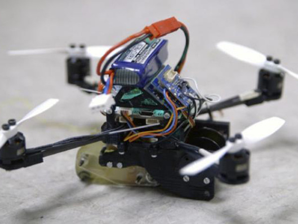 Lộ diện robot “siêu nhỏ” có thể tải vật nặng gấp… 40 lần trọng lượng của mình