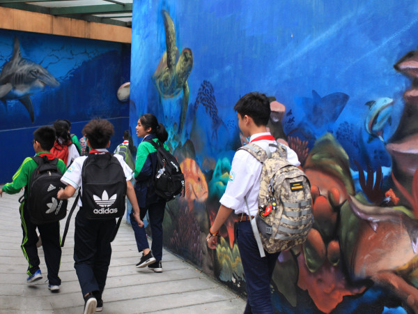 Hà Nội: Độc đáo “con đường thủy cung” của trường THCS Nguyễn Tri Phương