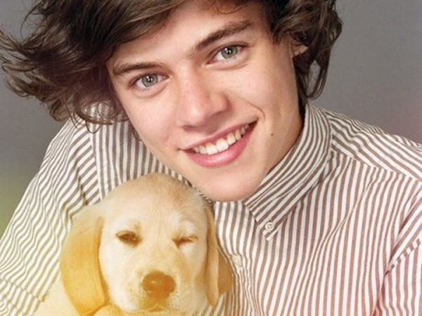 Trong MV "Kiwi" mới nhất của Harry Styles ẩn chứa tận 4 "thông điệp bí mật"