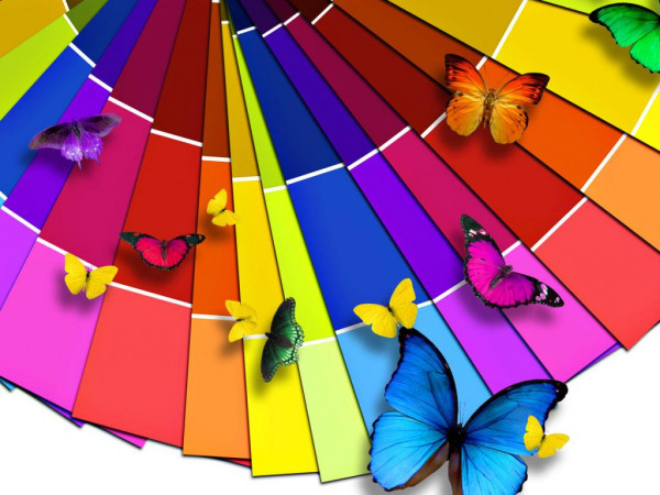 Câu châm ngôn mà bạn thích nhất sau đây có thể miêu tả màu sắc con người bạn đấy, thử nhé!