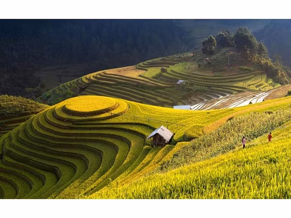 Những mốc thời gian hạnh phúc: Những ngày thơ ấu miền non cao