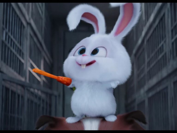 Thỏ trắng mặt đáng yêu tính siêu ngầu Bông Tuyết sẵn sàng trở lại lợi hại hơn xưa
