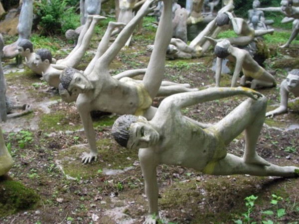 Khu rừng ma mị khiến ai bước vào cũng "rợn tóc gáy"