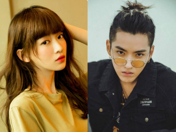 Fan hoang mang trước tin Ngô Cẩn Ngôn, Ngô Diệc Phàm tham gia phim “Trâm”