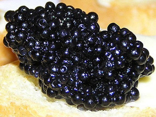 Trứng cá tầm - Món ăn “hoàng gia” mỗi bữa tốn cả cây vàng