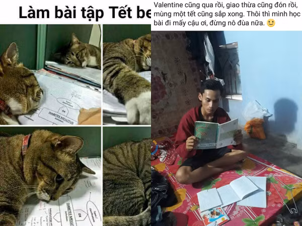 Nỗi ám ảnh mang tên làm bài tập, chạy "deadline" ngày Tết