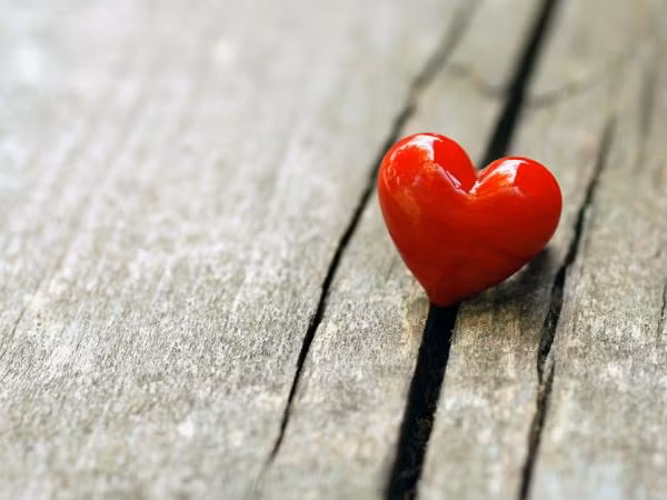 Tình yêu vẫn có thể rất tuyệt vời ngay cả khi nó bình lặng