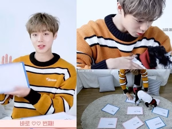 Park Ji Hoon (Wanna One) chính thức công bố tên fandom riêng