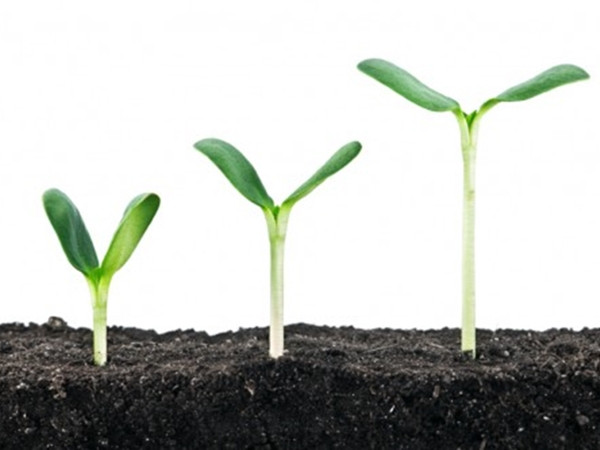 Bạn còn chưa trưởng thành nếu bạn không chấp nhận 12 thực tế này!