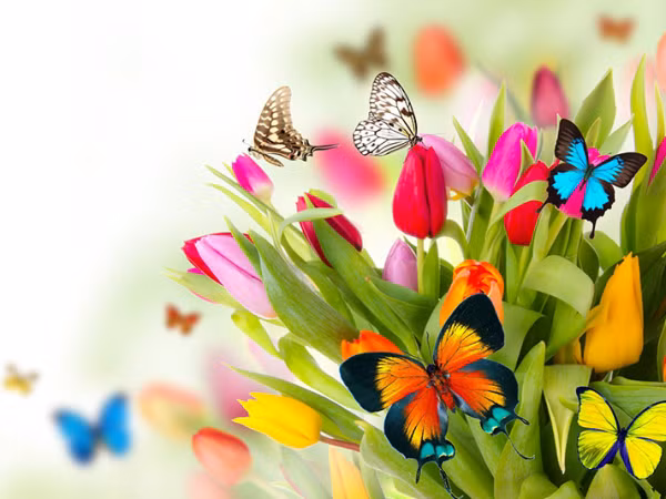 Horoscope tuần: Nghỉ học vì dịch, chứ không còn là nghỉ Tết nữa đâu 12 cung hoàng đạo nhé!