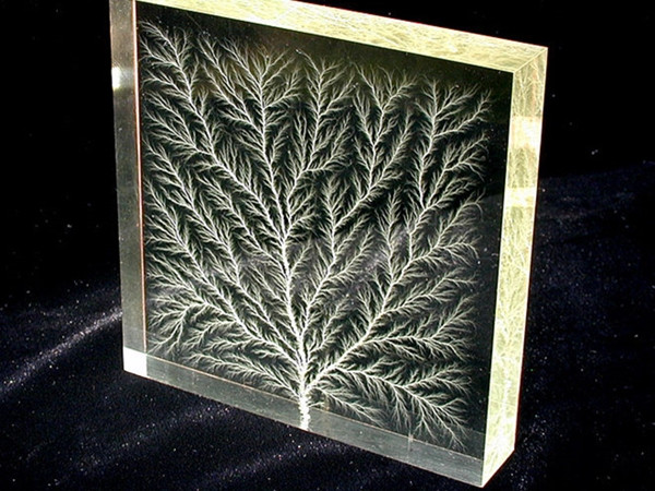 Bạn tin không, một số mẫu hình kỳ lạ trên da người là do… bị sét đánh đấy!