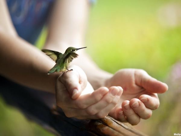 Lớp học giới tính: Con trai nên vệ sinh "thằng em" thế nào cho đúng?