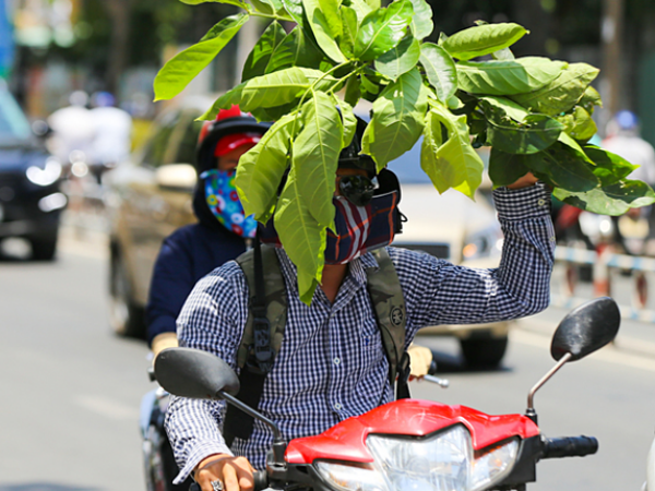 Tia cực tím tại Sài Gòn đang ở mức "cực kỳ nguy hại cho da"