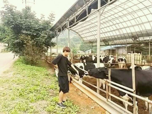 Nếu không làm idol, hẳn những chàng trai này đã trở thành ông chủ của những cánh đồng