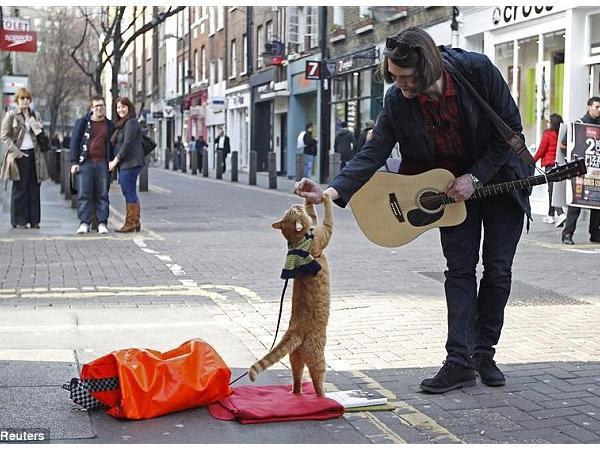 Nếu đang buồn, hãy để những chú mèo này truyền cảm hứng sống cho bạn!