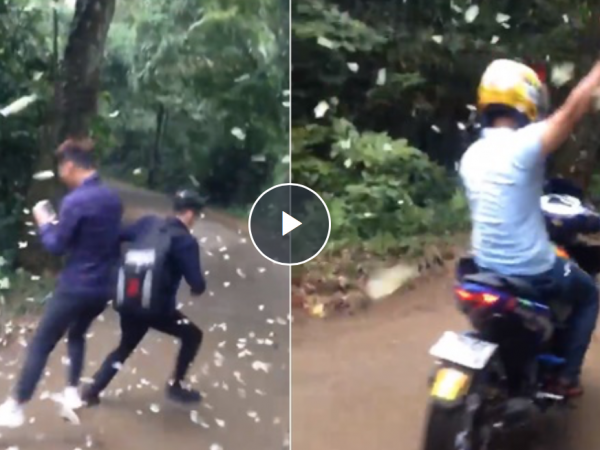 Nhóm thanh niên dẫm nát bướm tại rừng Cúc Phương khiến dân mạng bức xúc