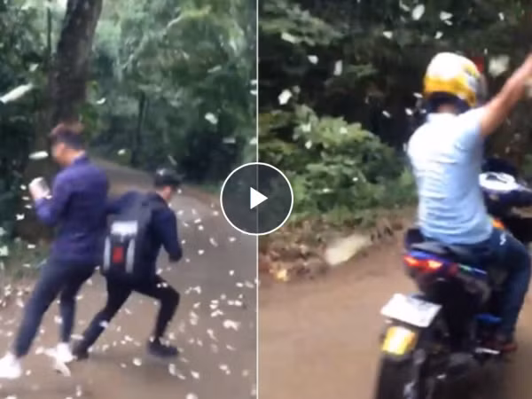 Nhóm thanh niên dẫm nát bướm tại rừng Cúc Phương khiến dân mạng bức xúc