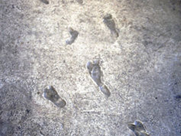 Dấu chân 6 triệu năm tuổi ở Hy Lạp có thể làm thay đổi lý thuyết về tiến hóa loài người