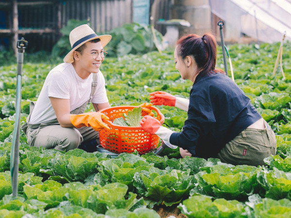 Mai Tiến Dũng khiến fan thích thú với tạo hình anh nông dân siêu đáng yêu trong MV mới