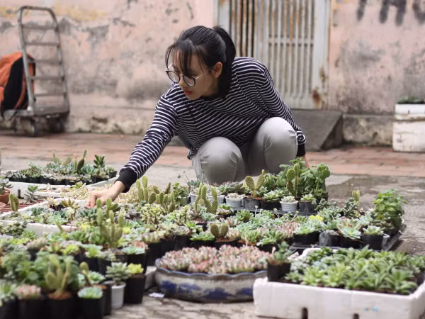 Chơi gì cuối tuần?: Đổi giấy lấy cây xanh, cơ hội học thiết kế poster miễn phí