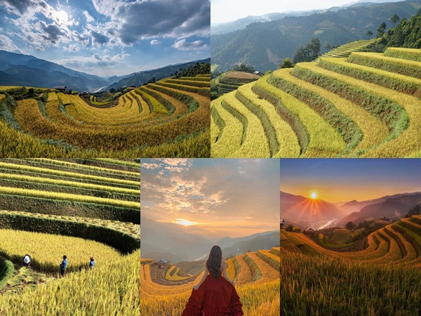 Đồi Móng Ngựa, điểm chụp lúa chín thu hút nhiếp ảnh gia ở Mù Cang Chải