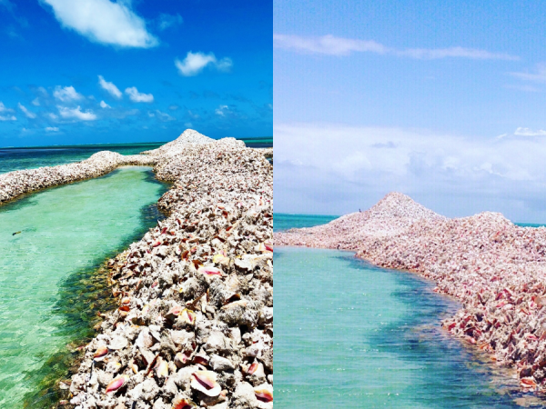 Ngỡ ngàng với Đảo Ốc Xà Cừ, hòn đảo được tạo nên từ thói quen... “ném ốc”